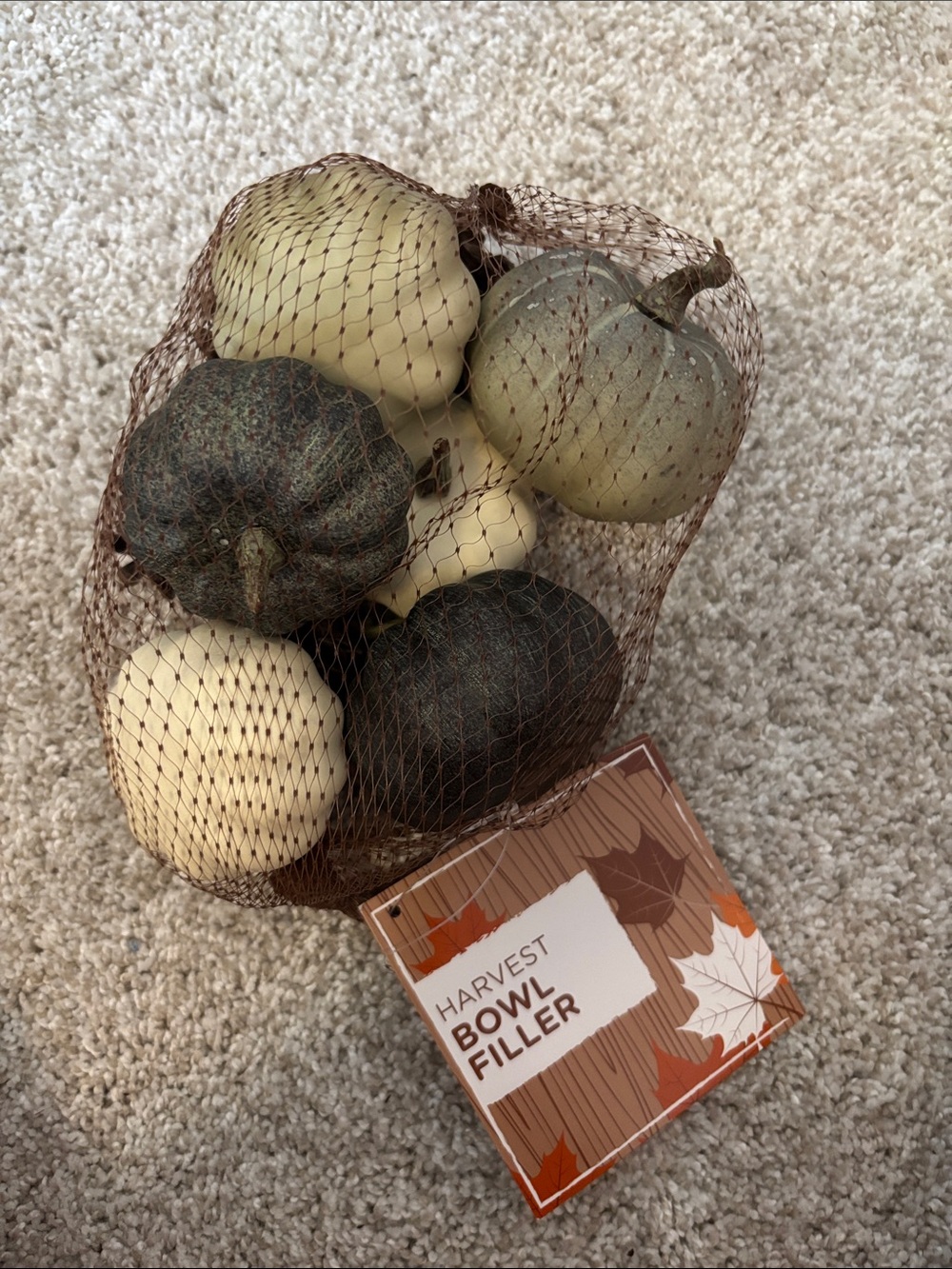 Harvest Bowl Filler - Neutral Mini Pumpkins